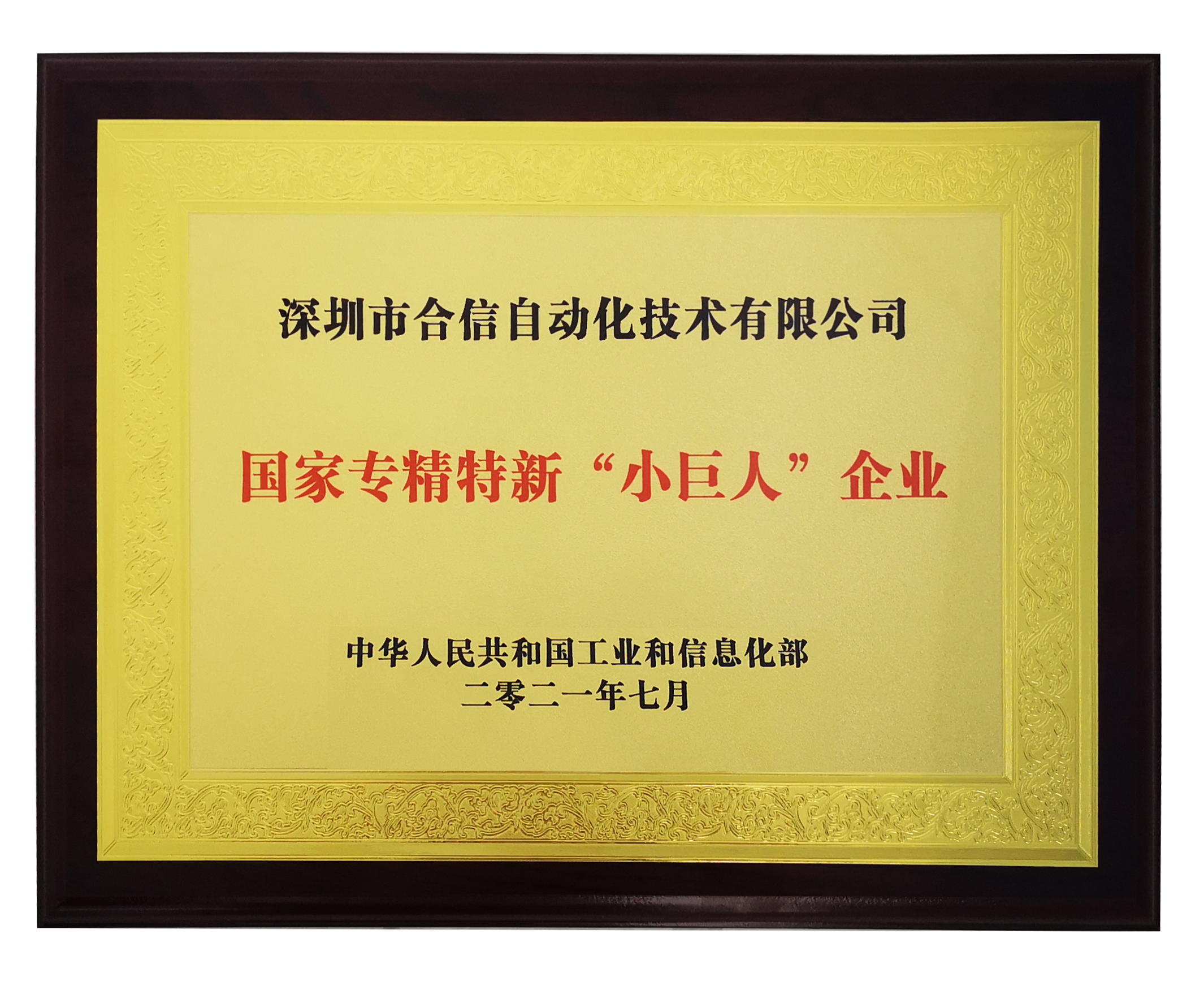 国家专精特精小巨人.png 国家专精特精小巨人.png